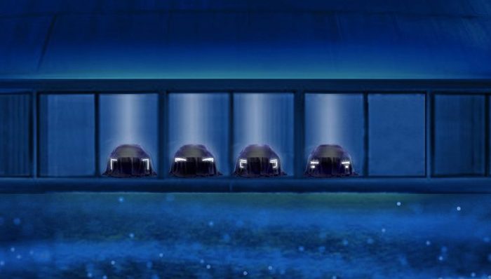 通用,本田,车圈观察