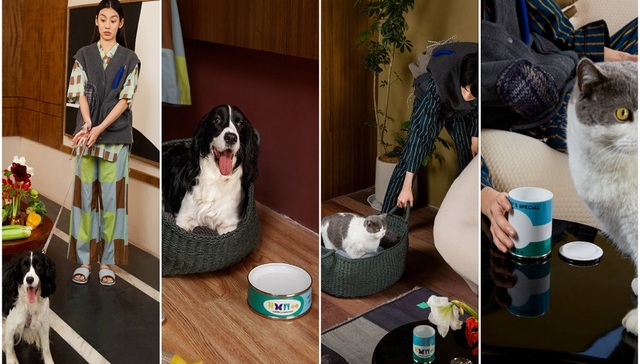 JNBYHOM出宠物生活新系列，方便你左手撸喵右手遛狗