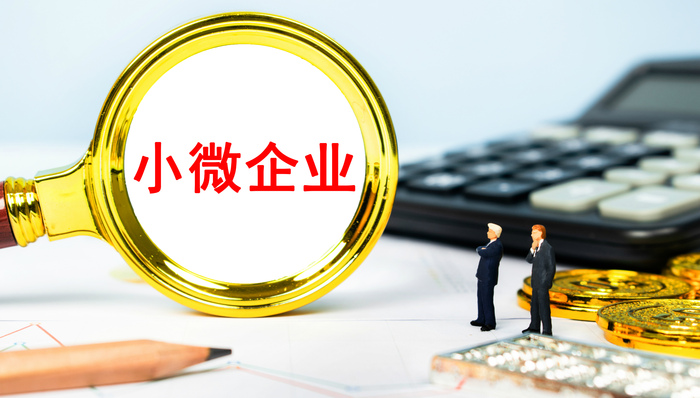 小微企业，政府工作报告，减税降费