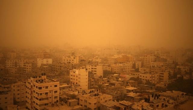 蒙古,羊绒,草原,沙尘暴