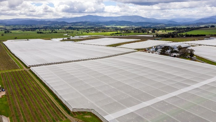 钟恒新材,ST保千里,财务不规范