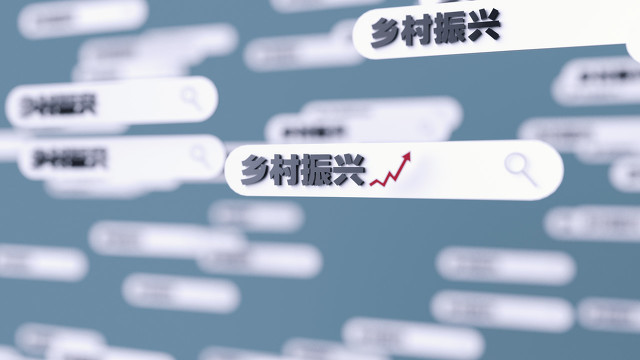 乡村振兴之路往何处去？专家：着眼主导产业、增加养老供给