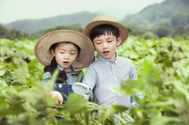 纾解“少子化”困局需要完善儿童福利制度