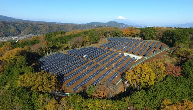 碳中和,光伏,上市公司,业绩,股价