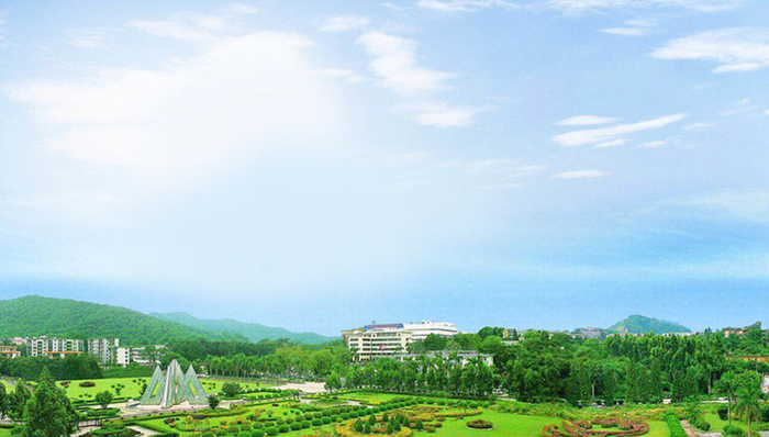 白云山,业绩,股价,金戈,王老吉,销量