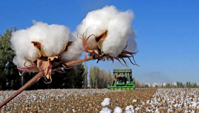 起底BCI：带头抵制新疆棉引发品牌跟进，前后表态多次反转