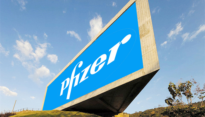 医药,辉瑞,管理