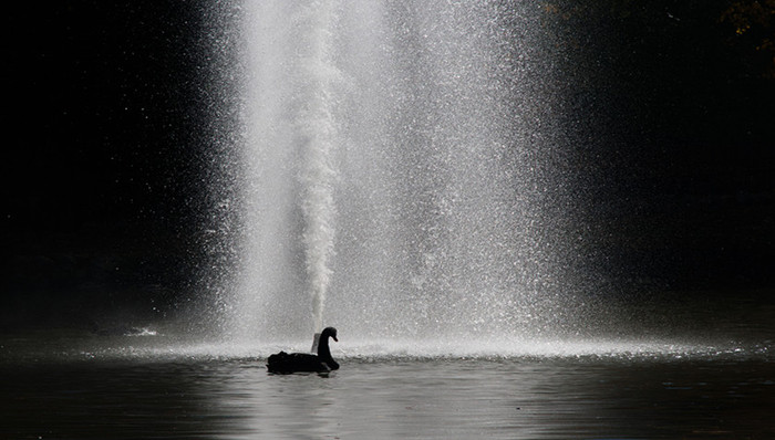 财说| 突遭黑天鹅，解密这家千亿市值公司的闪崩之谜