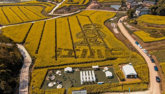 江小白：10年，活下来已经很不容易