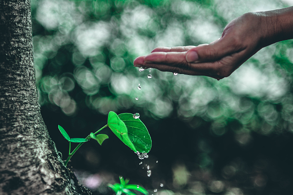 围绕“碳中和”深耕金融业务，国网英大“碳e融”业务开出首单