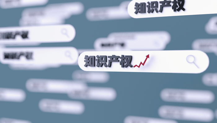 浦东新区，改革开放，知识产权