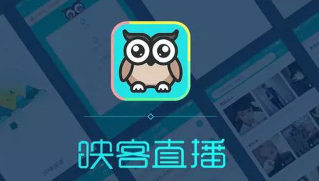 映客,业绩