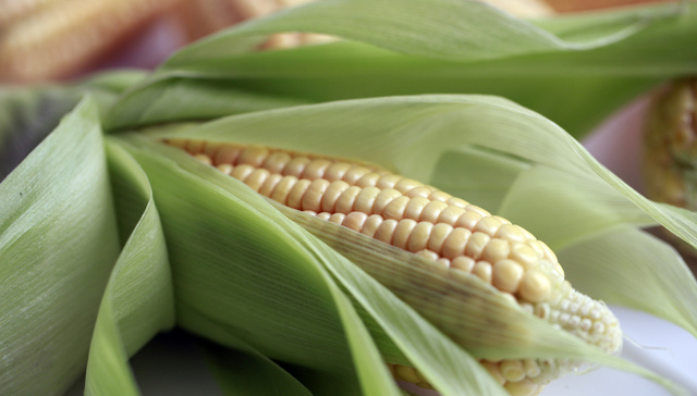 国内玉米价格高位回落，这波跌势会持续多久？