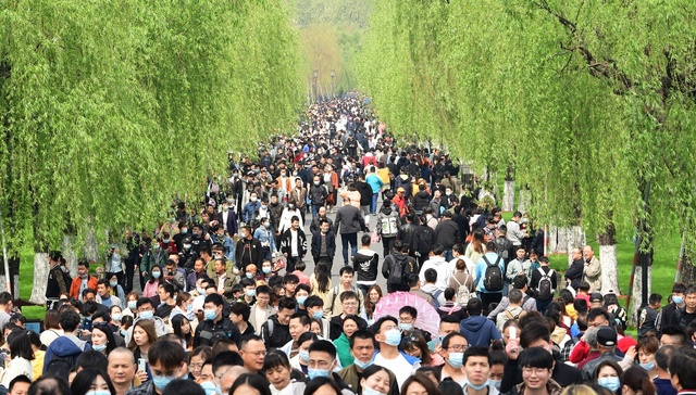 有个数 | 旅游消费为何没有出现报复式反弹？