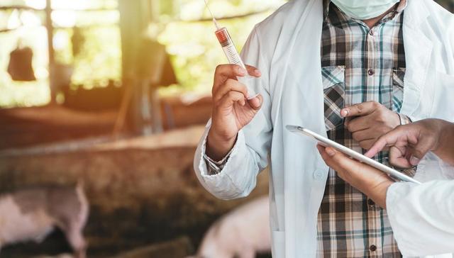 拟分拆禽用疫苗上市科创板，中牧股份总经理：细化经营领域 拓展融资渠道