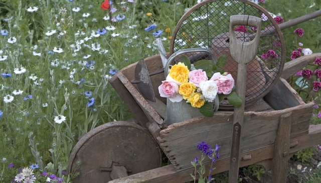 在艾米莉·狄金森的时代，她的花比诗歌名气更大 | 一诗一会