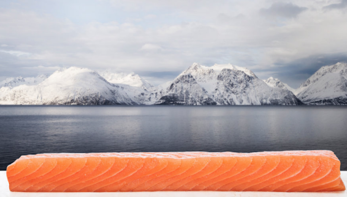 除了三文鱼，富含DHA的挪威青花鱼或将成为中国餐桌上的新“食”尚