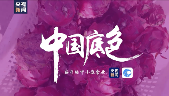 国潮汉服、无人驾驶、物流仓储速度...央视新闻联合天眼查见证中国底色