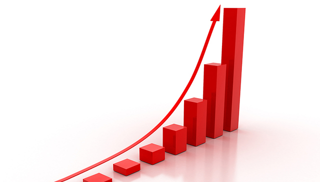 泰坦股份,金发拉比