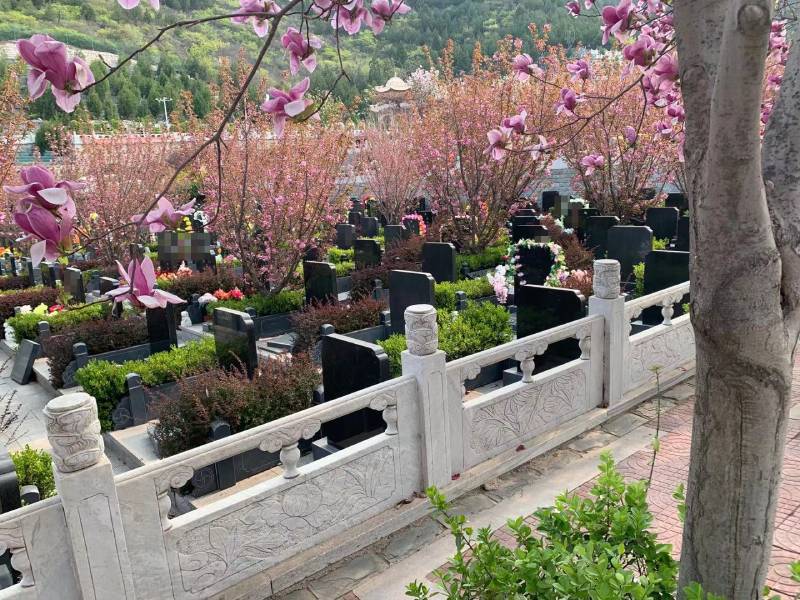 墓地1 (1).jpg