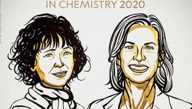 基因编辑,行业观察