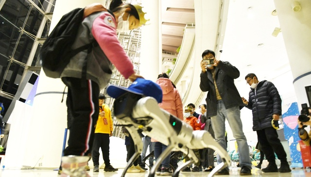 报告,发展指数,2019年,中国科普统计(2019年版),数学建模,科普类,高校,涨幅,文汇,原创作