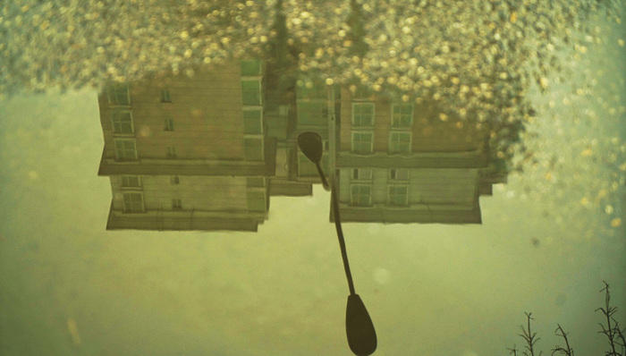 万科,房地产,财报