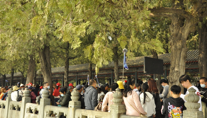 快看｜五一火车票明起开抢，“12306崩了”上热搜