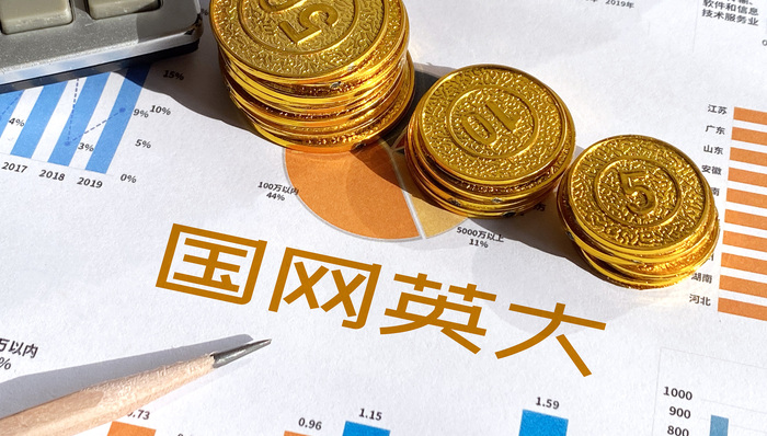 国网英大装入金融资产后首份年报出炉：金融业务收入30.5亿元，英大证券净利大增108%