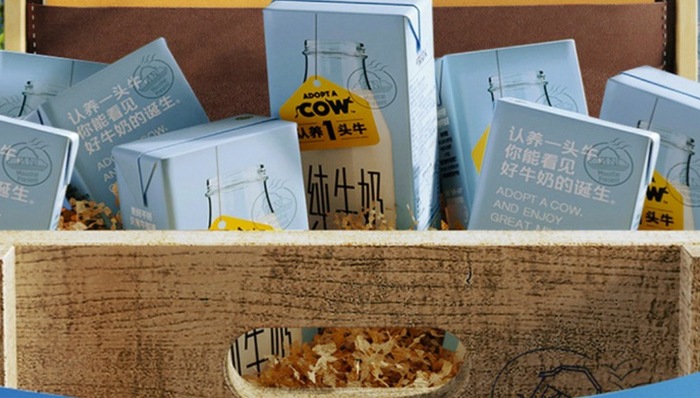 认养一头牛,徐晓波