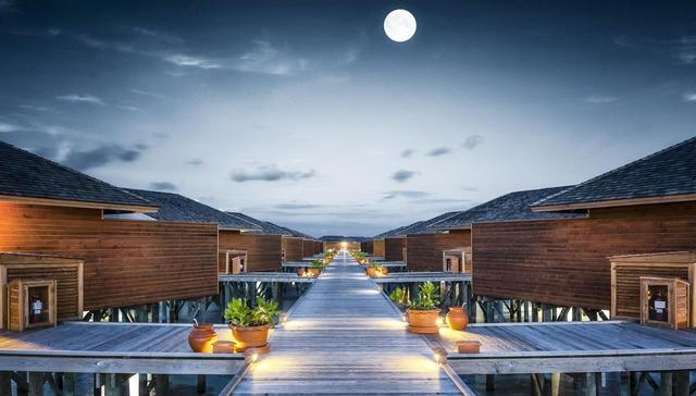 年报解读|岭南控股去年亏损2.4亿，分析人士：疫情控制前提下今年旅游业务修复可期