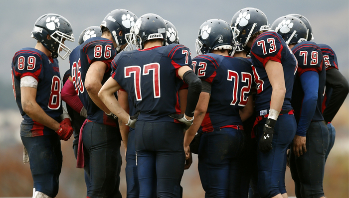 移动电商,中国市场,阿里,京东,苏宁,微信,抖音,快手