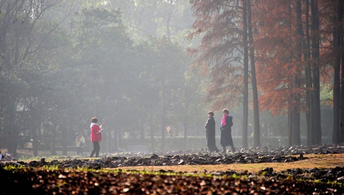 上海,长三角,技术规范