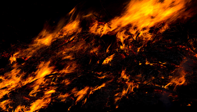 应急管理部派出工作组指导上海金山区企业火灾救援处置