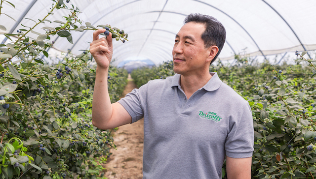 【专访】扎根云南，怡颗莓全球副总裁说中国拥有巨大的浆果消费潜力