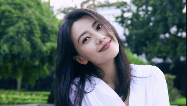 高圆圆,投资,VC