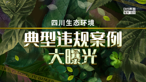 四川生态环境 典型违规案例大曝光
