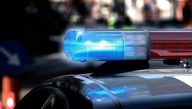 地方新闻精选 | 警方通报“西藏冒险王”尸检结果：排除他杀 团伙盗猎8200只鸟被判赔246万