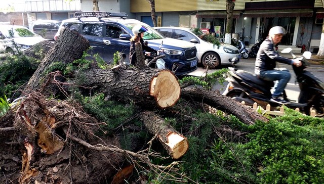 大风冰雹袭击江苏已致11人死亡9人失踪，全省13688人受灾