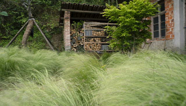 面对移民记忆与农家日常，艺术能为乡村做些什么 | “艺术在浮梁2021”开幕