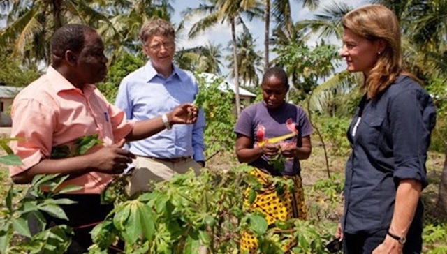 盖茨,投资,财富,微软,基金会,股票,瀑布投资