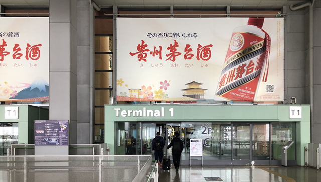 贵州茅台,招聘,体测