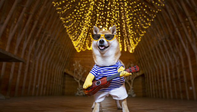 狗狗币,Doge,华尔街