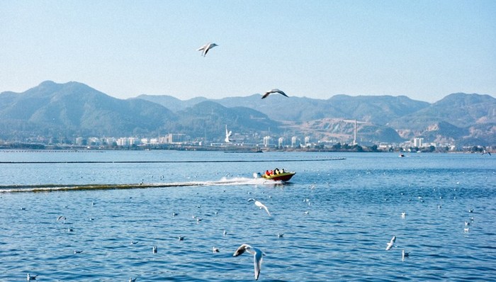 环保行动,热点追踪