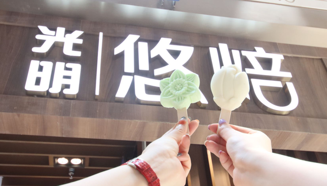 花博会,光明乳业