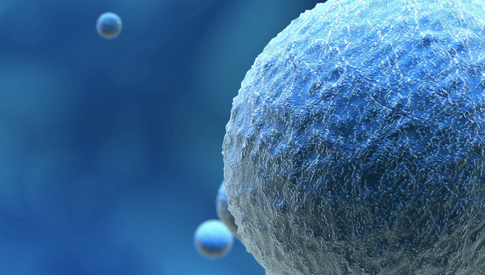 药明生物,VC,投资