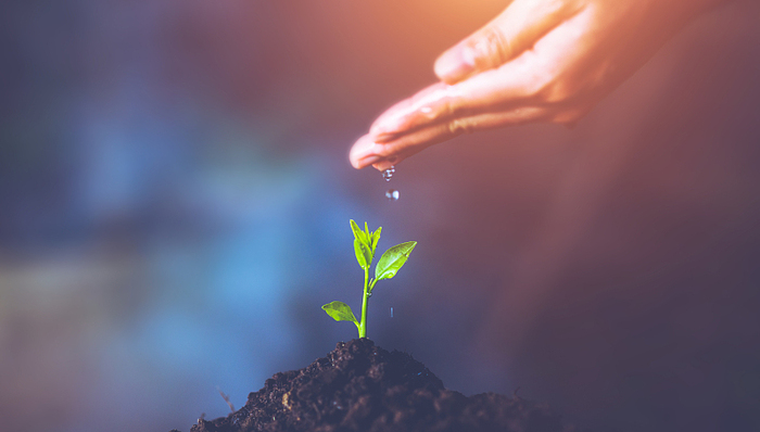 怎样薅一把“碳金融”的羊毛?