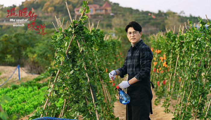 剧讯 | 《温暖的味道》芒果TV独播 日剧《我要准时下班》翻拍