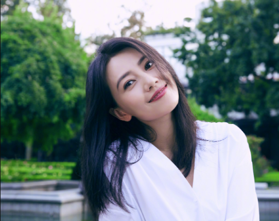 高圆圆,商业版图