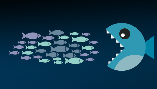 文娱行业,在线阅读,长视频,直播